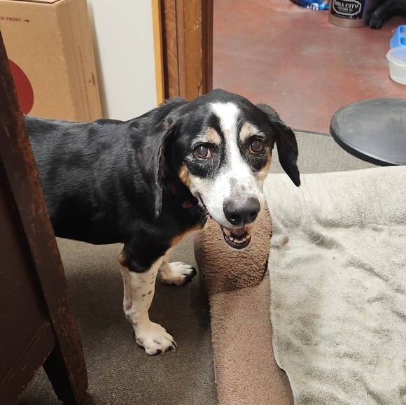 Hello, Poshers! 👋🙂 - Picture 5 of 7